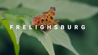 Town of Frelighsburg  Short Film [upl. by Mabelle]