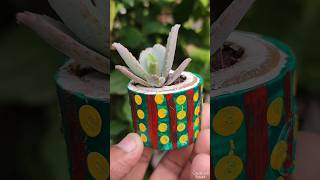 Reusing ♻️ HB Plastic pipe amp Propagate 🌿 Succulent 🍀 reuse shorts [upl. by Llerryt]