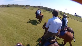 Polo Pony Practice  Chukkers in the Park  Equestrian [upl. by Min]