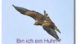 Bin ich ein Huhn   Motivationsgeschichte [upl. by Nalehp]