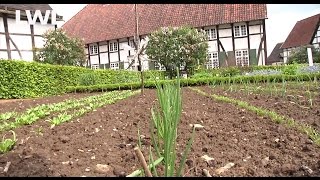 „Marsch marsch ins Beetquot Ausstellung im LWLFreilichtmuseum Detmold LWLKultur [upl. by Nathanial]