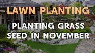 Planting Grass Seed in November [upl. by Neibaf311]