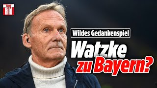 Er trägt die Schuld am BVBElfmeterSkandal  BayernDrama und Schalkes Hoffnung  Lage der Liga [upl. by Also]