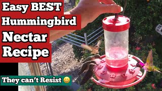 How to Make Hummingbird Nectar Recipe FOOD  PERFECT for Feeder to Attract Hummingbirds FAST amp EASY [upl. by Deer315]