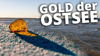 Bernstein  das Gold der Ostsee [upl. by Edelman]