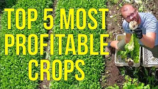 Unlock the Secret to Maximum Profits The Top 5 Most Lucrative Crops for Market Gardeners Revealed [upl. by Wareing973]