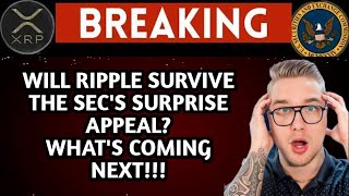 XRP NEWS TODAY WHATS NEXT IN XRP LAWSUIT AFTER THE SEC’S APPEAL [upl. by Wilbur]