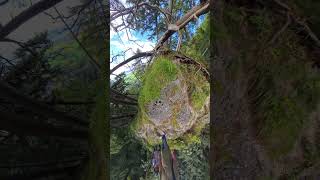 Hiking the Bavarian Alps  Scenic Adventure in Füssen Germany [upl. by Yrehcaz]