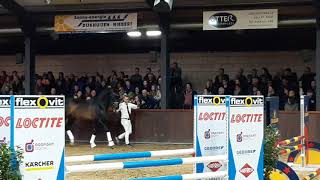 Hengst Futurehengstenshow stal Brouwer 2019 [upl. by Tterraj578]