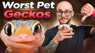 The 5 WORST Pet Geckos and 5 WAY BETTER Options I Bet Youve Never Heard of Number 3 [upl. by Alyahsal814]