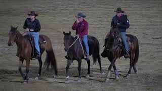 Rodeo Mareeba 2024 [upl. by Aiet390]