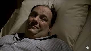 The Sopranos YTP Tony has good taste in music S06E04 series 2000s sopranosedit hbo ytp [upl. by Fidelia]