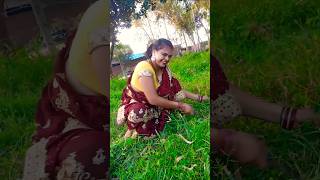 Chhajje upar boyo re bajrohindisong dance viralvideo [upl. by Tecil]