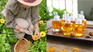 5 Ways to Eat and Use Calendula Calendula Oil Calendula Jelly Calendula Tea Flower Butter [upl. by Airalav]