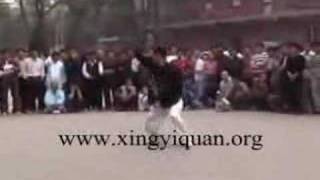 Song Style Xing Yi  Za Shi Chi [upl. by Row]