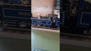 Having fun with 2 live steam model engines steamengine train steamtrain [upl. by Lleroj885]