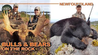 Combo Spot and Stalk Moose amp Bear Hunt in Newfoundland  Canada in the Rough [upl. by Dora829]