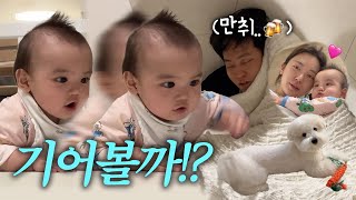 VLOG 호기심 폭발 아기와 만취 남편😵‍💫 [upl. by Zurc]