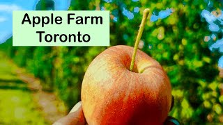 Apple FARM  Apple PICKING Toronto  Apple Orchard Tour [upl. by Airdnola852]