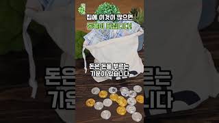 집에 이것이 많으면 돈복이 터집니다 💰🍀 풍수 사주팔자 운이좋아지는법 [upl. by Middle]