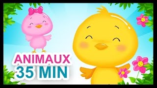 À la volette  35 de comptines sur les animaux pour les enfants  Titounis [upl. by Einahpet]