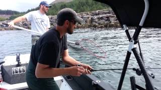 Nehalem river Oregon coast Fall Chinook trip [upl. by Annavoig]