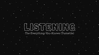 Listening  The Everything You Knows Turnstile Rocketchip Cover [upl. by Aleron]