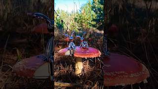 Afric Simone Hafanana Hanana Kukanela Shalalala nature autumn forest mushrooms flyagaric [upl. by Yelyr]