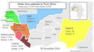 Epidemics Outbreaks and Pandemics [upl. by Pol]