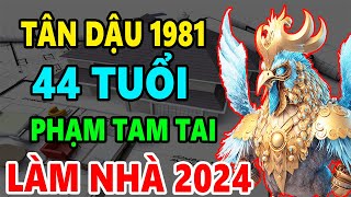 Tân Dậu 1981 44 Tuổi Phạm Tam Tai Có Xây Nhà năm 2024 Được Không Xây Thế Nào Tốt Nhất [upl. by Aremihc676]