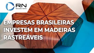 Semana de Design de Milão empresas brasileiras investem em madeiras totalmente rastreáveis [upl. by Eelymmij]