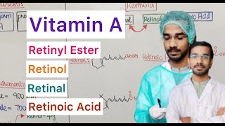 Vitamin A  Retinyl Ester  Retinol  Retinal  Retinoic Acid [upl. by Latsirk]