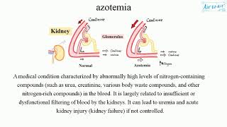 azotemia [upl. by Amo]