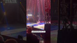 2 Male acrobats at Zyair  circus acroacross shorts [upl. by Gnim]