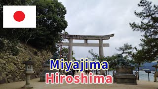 Visit Miyajima island 🇯🇵 [upl. by Faunie798]