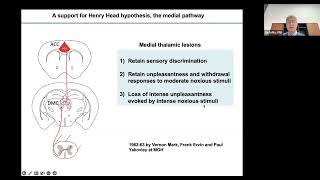 A Functional Subdivision Within the Somatosensory System and its Implications for Pain Research [upl. by Yerocal]