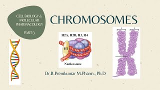 Chromosomes CBMPPart3 [upl. by Muhan]