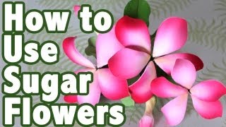 How to Use ReadyMade Gum Paste Flowers  Cake Tutorials [upl. by Kalina]