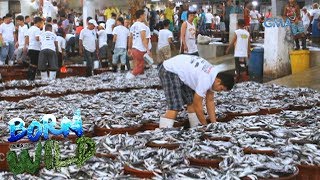 Born to be Wild Doc Nielsen visits the largest fish port in the Philippines [upl. by Wills]