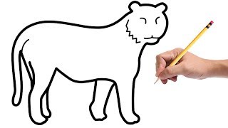 How to Draw a Tiger for Kids [upl. by Grayson]