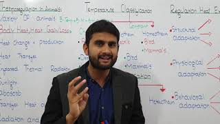 Ch15 Lec17 Thermoregulation in Animals UrduHindi Lecture Fsc MDCAT NUMS By M Bilal Chaudhary [upl. by Karole]