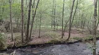 Former Logging Railroad in Hickory Run Pa [upl. by Nezah285]