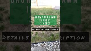 Grow your Lawn in about 3 weeks shorts landscape exteriordesign greenthumb interiordesigner [upl. by Steffen]