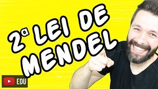 2 LEI DE MENDEL  GENÉTICA  Aula  Biologia com Samuel Cunha [upl. by Mendel]