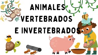 Animales vertebrados e invertebrados  EducaMundo [upl. by Diann]