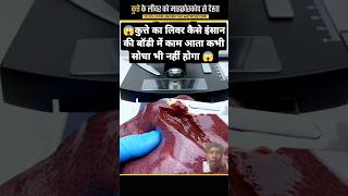 😱Dog liver under tha microscope 🔬😱 microscope amazingfacts dogshorts ytshorts factsinhindi [upl. by Amhser]