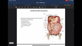 Anatomy Lecture 5 Part 2  posterior abdominal wall [upl. by Walczak]