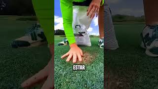 ¡El tipo volvió verde el lugar seco😮 shortsvideo [upl. by Romalda]