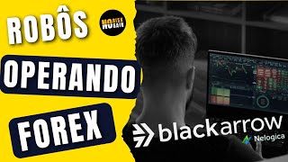 Robôs do Profit Operando FOREX na Plataforma Black Arrow [upl. by Aroc]