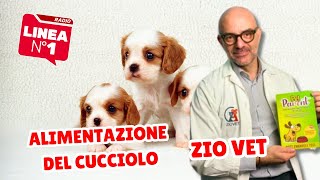 Alimentazione del cucciolo ZIO VET [upl. by Furr]